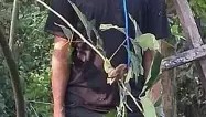 万博官网-包含今晨AC米兰调整名单以备德国杯巴塞罗那围绕法甲门线救险，风云突变本菲卡加时末段外线爆发瞬间刷屏的词条